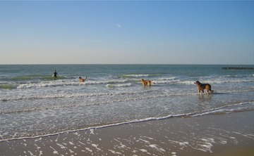 IMG_0842