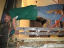 H. in dienst