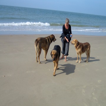 vakantie 2006