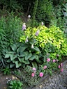 tuin