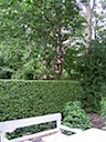 tuin