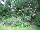 tuin