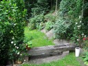 tuin