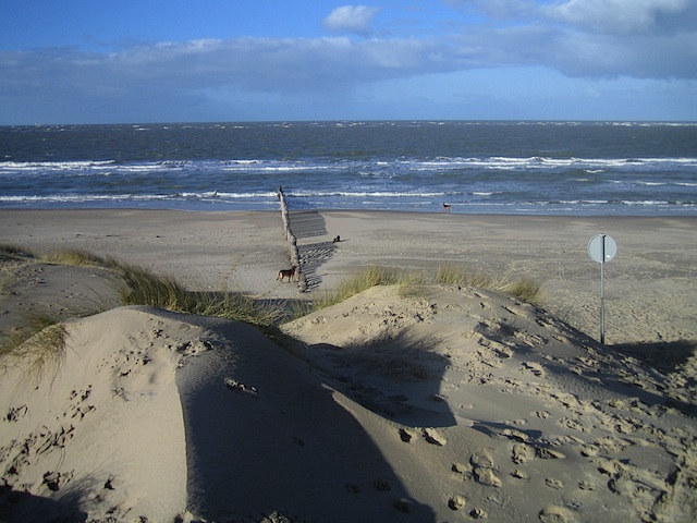 Januari 2005-februari 2005 025